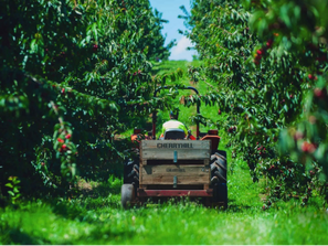 Official Immigration Symposium looks ahead to immigration policy priorities for FY 2021-22; new agri