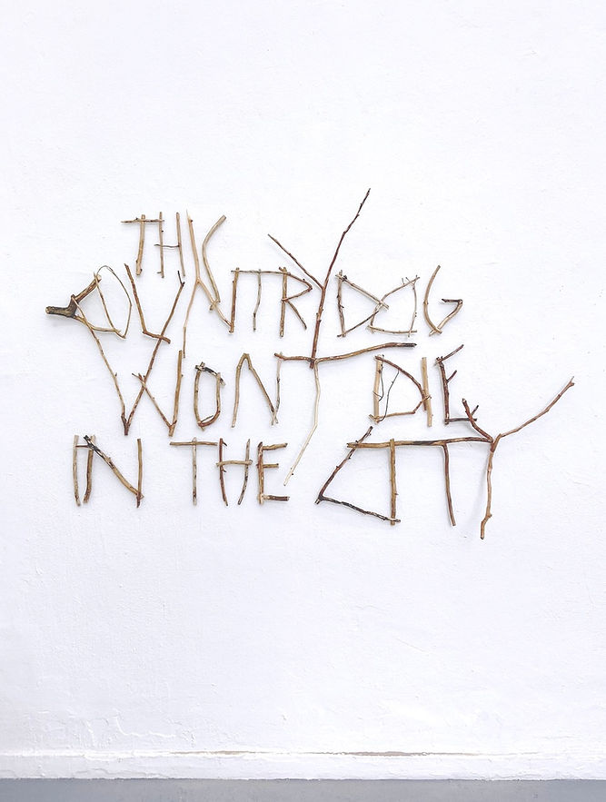 123CountrydogBearbeitet 3 Large.jpeg