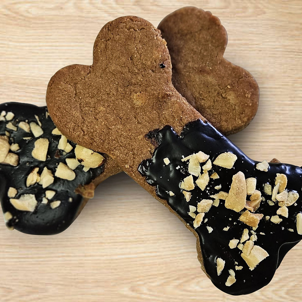 Dipped Peanut Butter Dog Bones