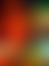 Le matérialisme féministe à l'épreuve du genre et de la transitude : repenser l'oppression en termes de classes sexuelles