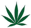 Herbal Life Logo.jpg