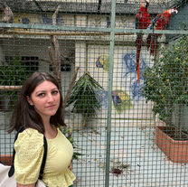 Shanti शांति Foundation 2024 Annual Report