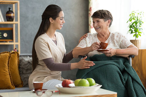 companionship 2 equality home care coop