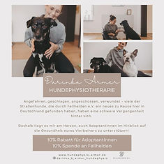 Hundephysiotherapie