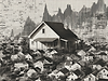 u8848119432_single_family_house_market_stats_--ar_43_--raw_--_78101927-77dc-4d8b-b4a7-b39f