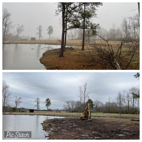 large tree removal Harnett County NC safe tree clearing and debris haul-off