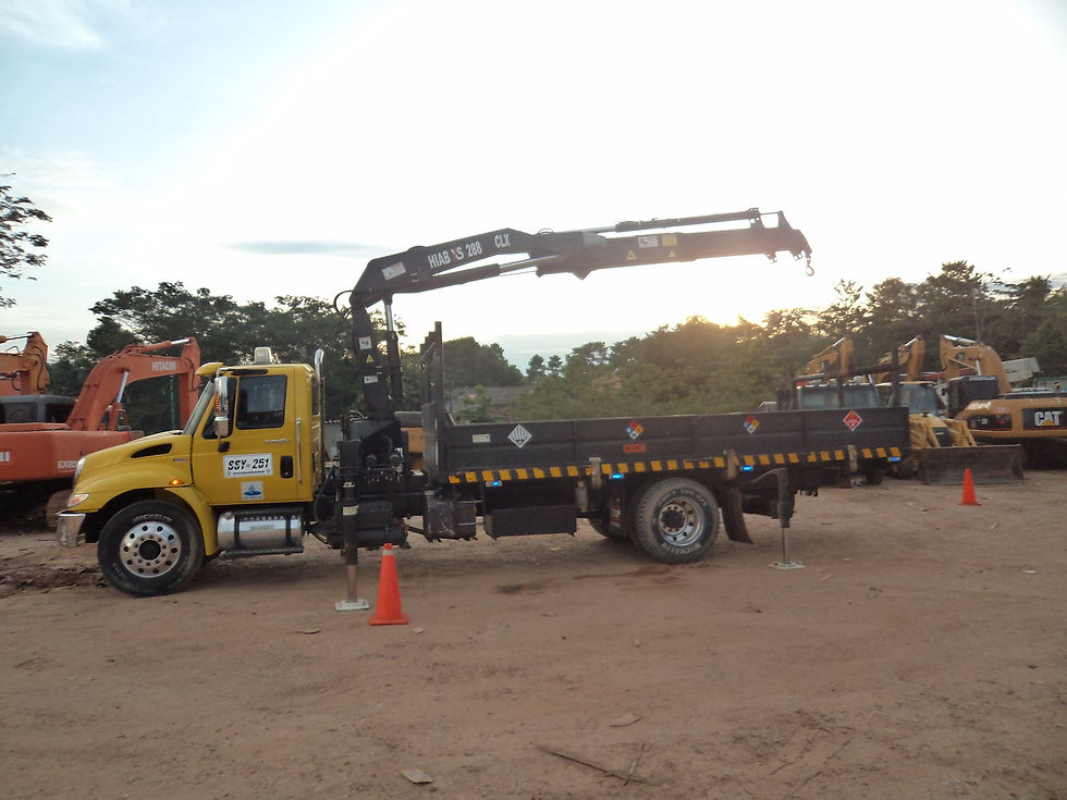 camión grúa 10 tn.