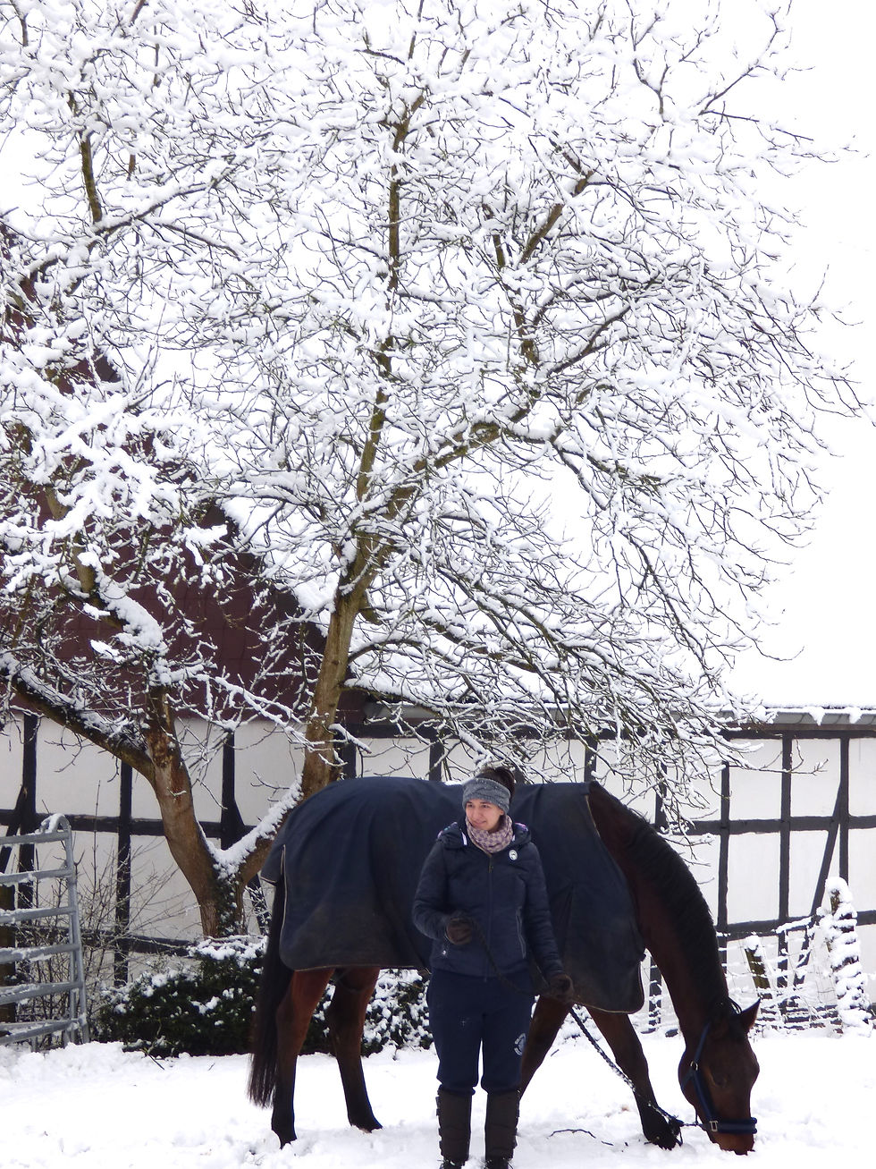 Winter