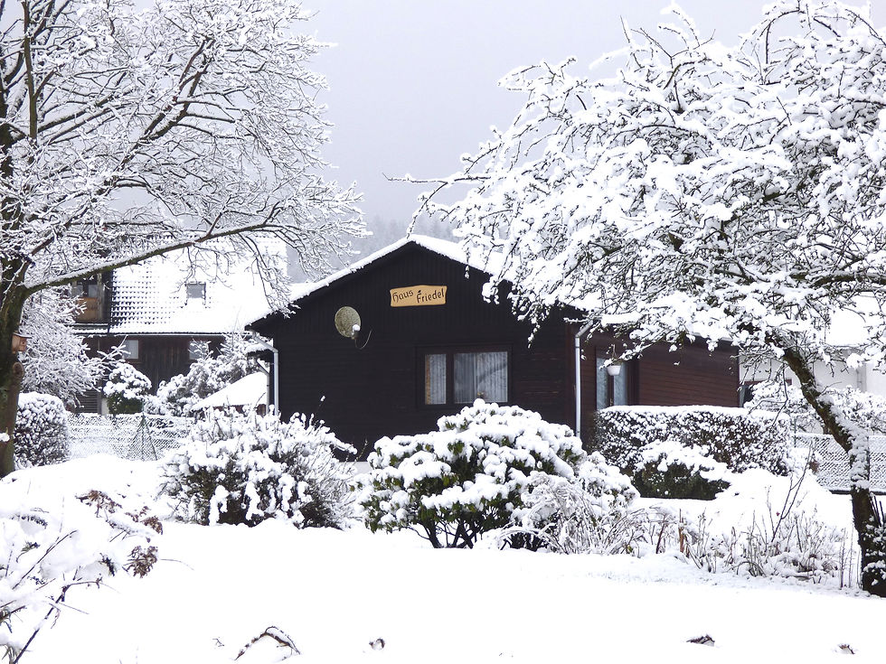 Winter