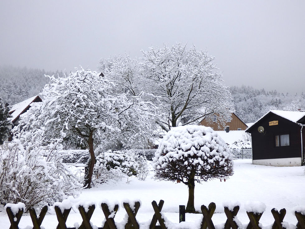 Schnee auf dem Meyerhof
