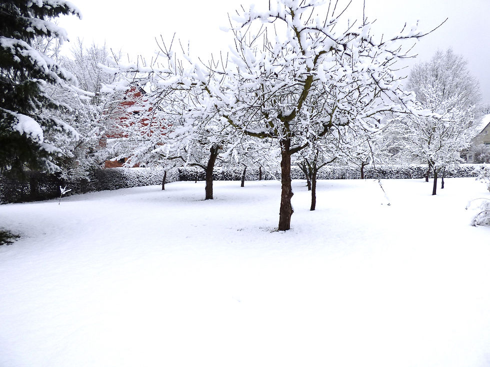 Winter