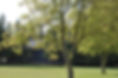 _DSC0006.JPG