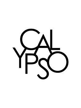 calypso abstract copy.jpg