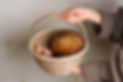 _Z639029.jpg