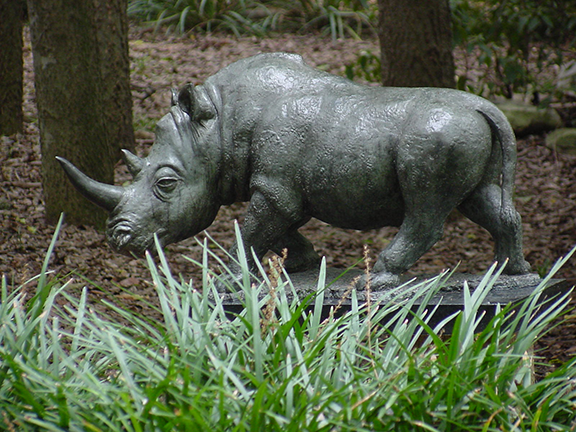 Rhino