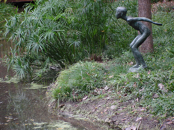 Diver