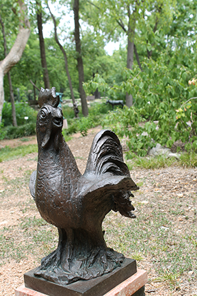 Rooster