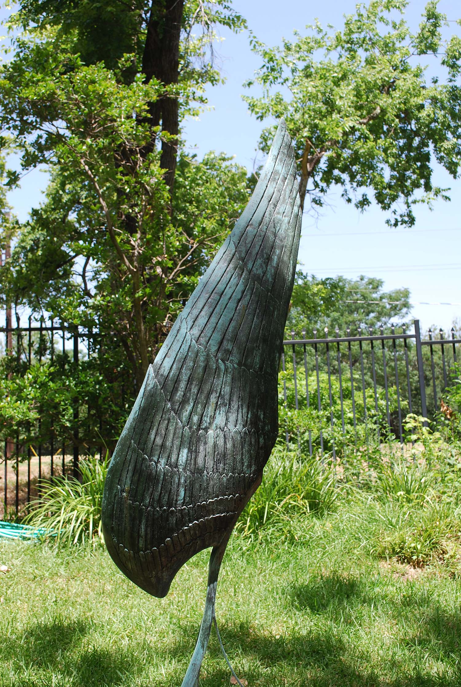 Angel's Wing