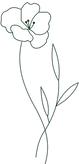 Identify.png