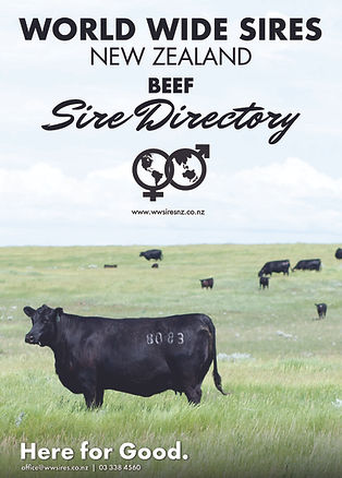 cover - 01_26 WWS NZ Beef Catalogue.jpg