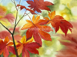 Cherry Red Maple Leaves