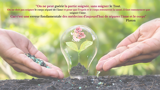 Cohésion (8).png