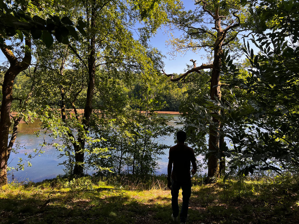 Photo du site