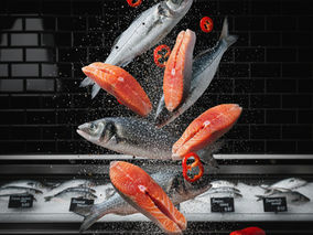 פילה דניס בתנור עם עשבי תיבול – הקליל