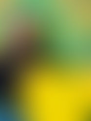 Laura Junttilasta EsPan toiminnanjohtaja