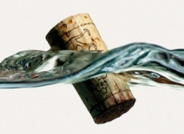 Cork bobbing on surface of water