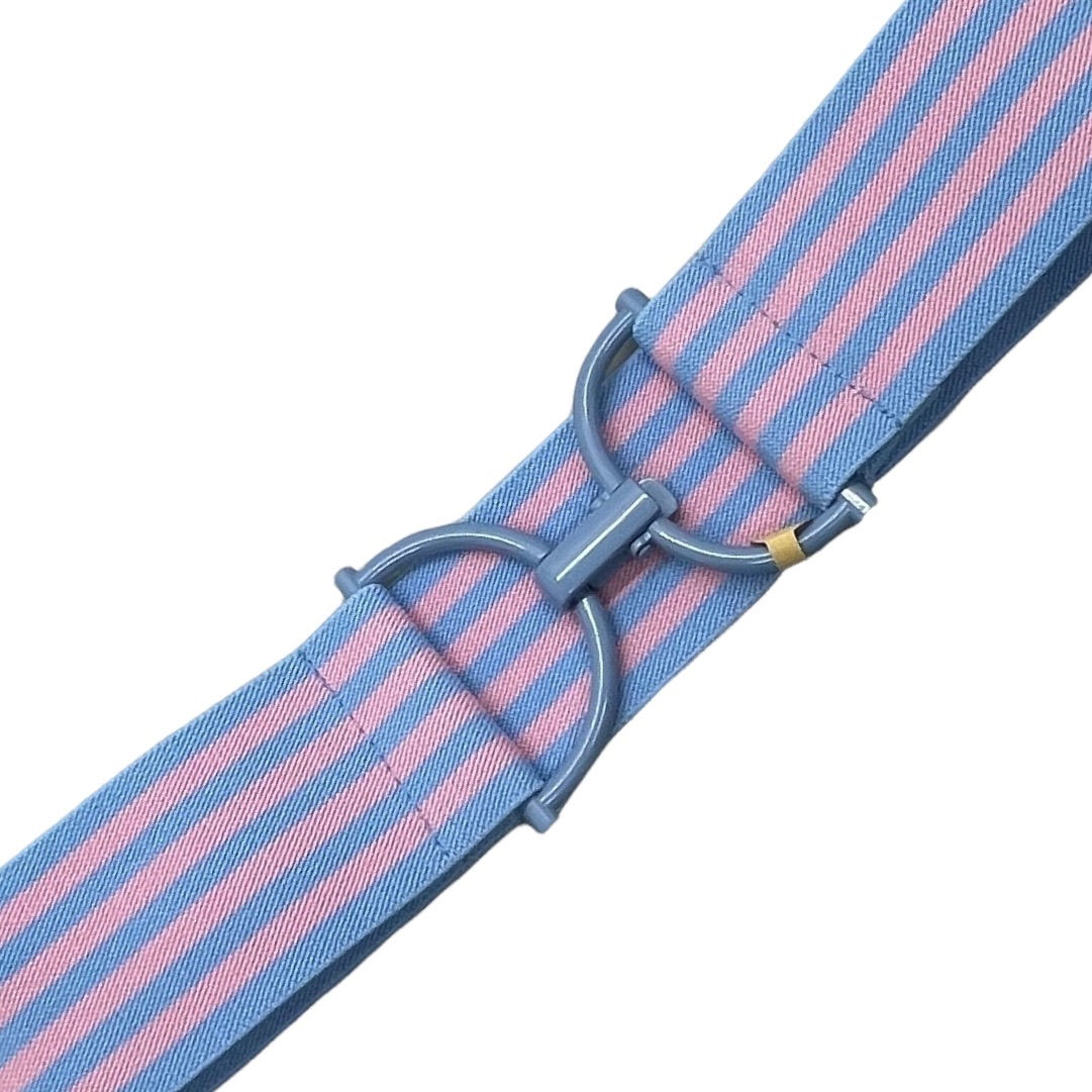 Signature Stripe Cornflower Blue and Pink