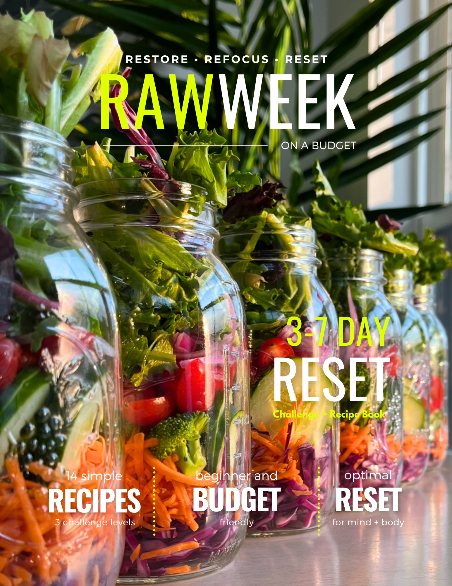 Raw Week On A Budget ( 1. 0 ) Ebook