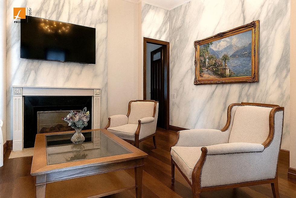 04 Vento Płyta Węglowa promis