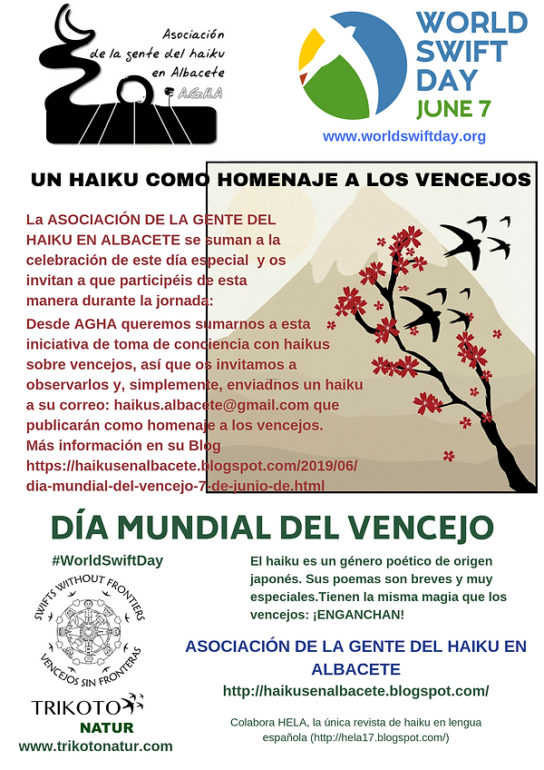 DIAMUNDIALDELVENCEJOHAIKU-ok.png