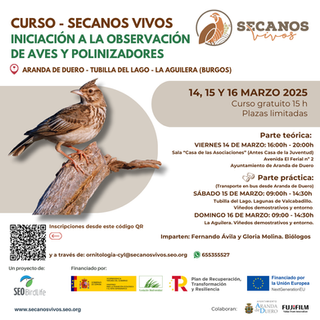 Colaboración con el proyecto Secanos Vivos de SEO Birdlife desarrollando el curso de iniciación a la observación de aves en Aranda de Duero