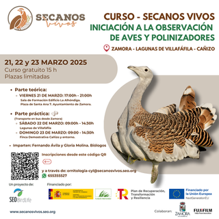 Detalles del curso de iniciación a la observación de aves que celebramos dentro del proyecto SECANOS VIVOS de SEO Birdlife en Zamora y Villafáfila