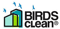 birds clean.jpeg