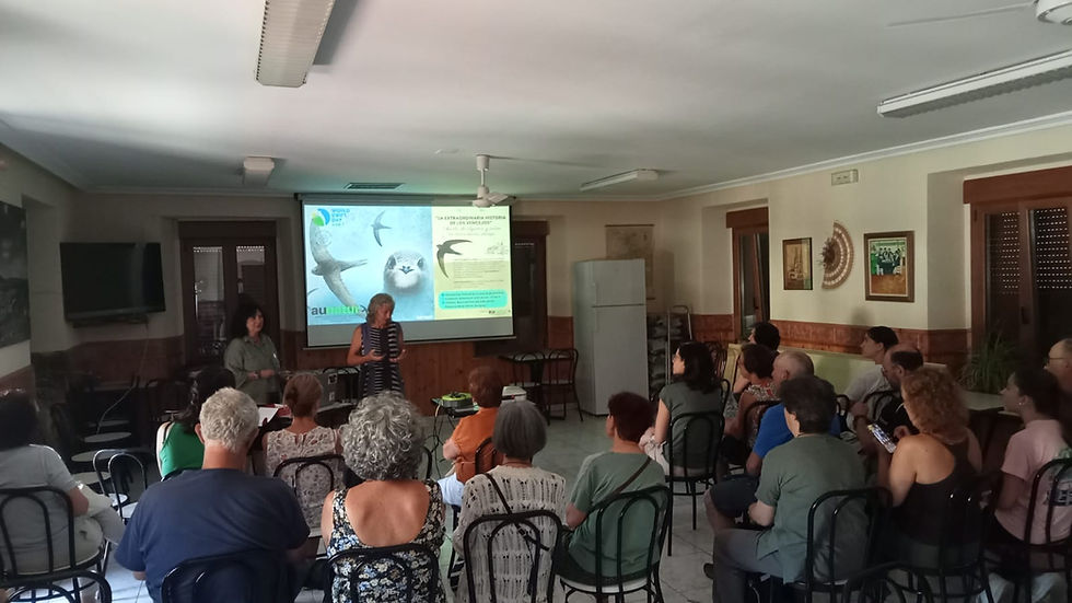 La historia de los vencejos llega a la ecotienda "Mejorana" de Palacios de la Sierra, Burgos 
