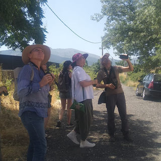 Iniciación a la observación de aves en Revenga