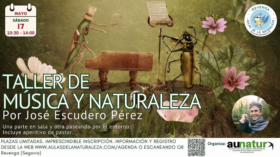 "Taller de música y naturaleza" por José Escudero