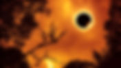 Charla divulgativa "la fauna ante un eclipse solar"