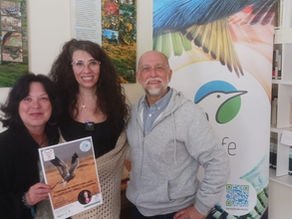 Charla íntegra de la campaña de protección 2026 del aguilucho cenizo en Segovia