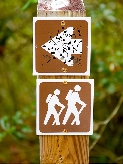 Escuela MyN imágenes carteles (1).png