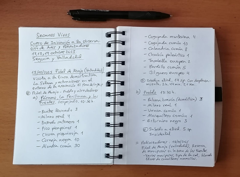 Cuaderno de campo de Fernando Ávila, ornitólogo.