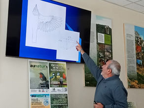 Descubrir el secreto del vuelo de las aves con Juan Carlos Álvarez
