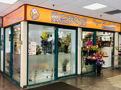Visit Our Online Shop