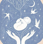 accueil bébé 