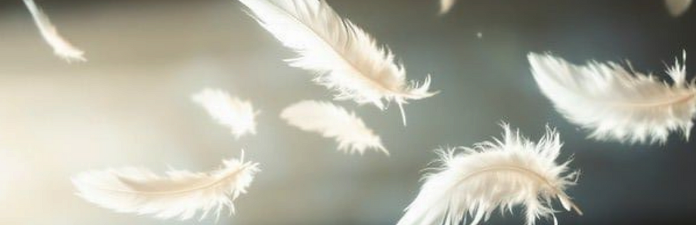 plumes, accompagnement holistique, thérapie individuelle, accompagnement spirituel