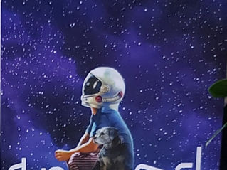 نمایشگاه کتاب منچستر: خرید و تبادل کتاب