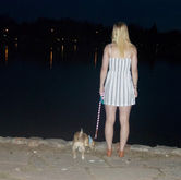 A Day In the Life of and A Night In the Dreams of Taylor Bulzomi